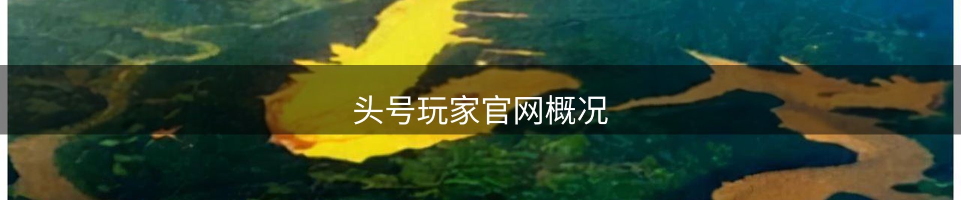头号玩家官网概况